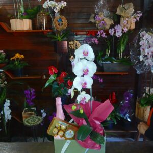 Orquídea com vinho e bombom