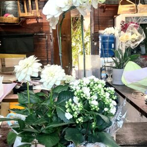 Bacia orquídea com flores